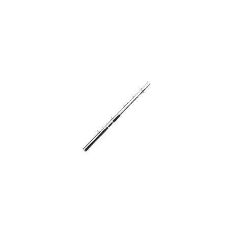 DAIWA BG Offshore pilk rod 2m40 40-125gr