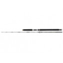 DAIWA BG Offshore pilk rod 2m70 40-125gr
