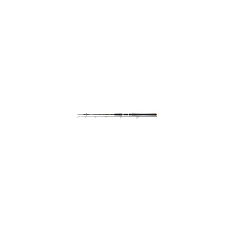 Canne DAIWA BG Offshore pop 2m30 40-150gr