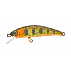 ILLEX Tricoroll 43 SHW HL Gold trout
