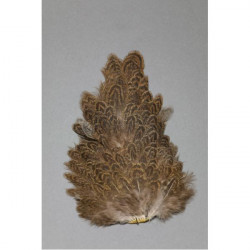 Cou de poule  FLY SCENE Brun