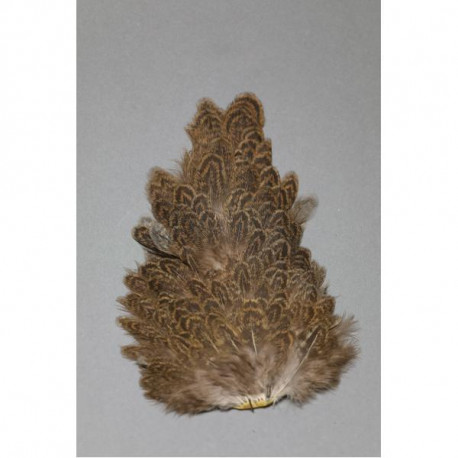 Cou de poule  FLY SCENE Brun