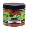 FUN FISHING activ paste chenevis/pain d'épice-150gr