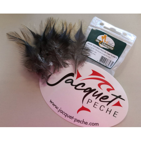 Pardo JMC Incendido Pelle de cape - grade 1