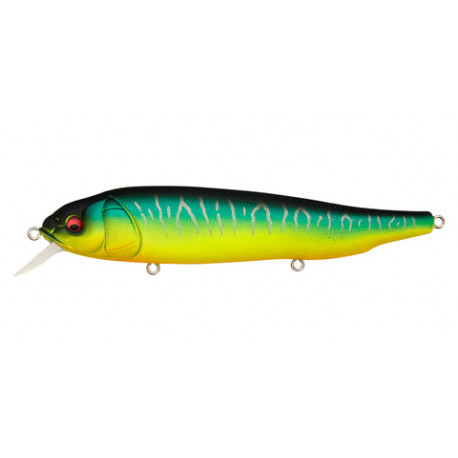 Leurre MEGABASS Lates Mat tiger