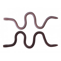 OSP MMZ Medium TW203 lure