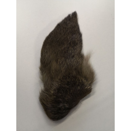 Deer Ears JMC Brun