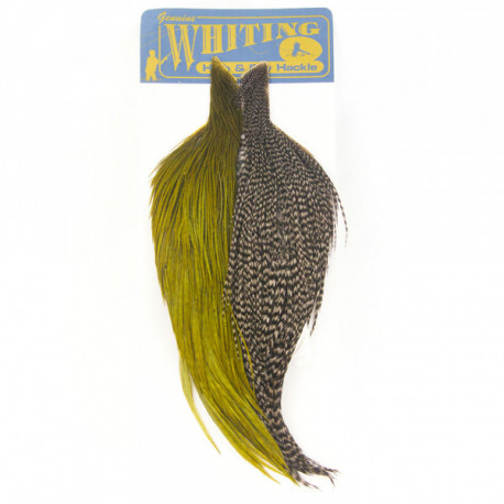 Cou de coq WHITING (1/2) 2x1/2Starter Dun Grizzly / White Olive