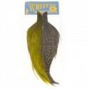 Cou de coq WHITING (1/2) 2x1/2Starter Dun Grizzly / White Olive