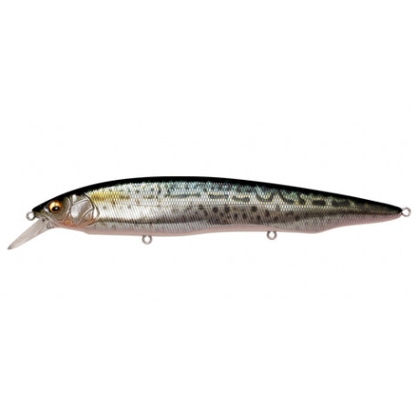 MEGABASS Kanata SW ayu 16cm FA Saba