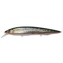 MEGABASS Kanata SW ayu 16cm FA Saba
