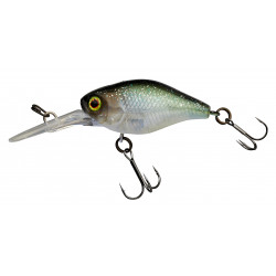 Leurre ILLEX Diving chubby 38mm Ghost grass minnow