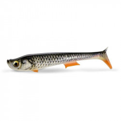 Leurre QUANTUM Trap shad 22cm Real roach