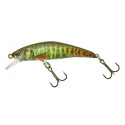 ILLEX Tricoroll 43 SHW RT Spawning vairon