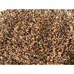 Chènevis cuit en sachet de 5kg