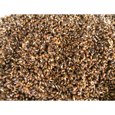 Cooked heifers in 5kg bags