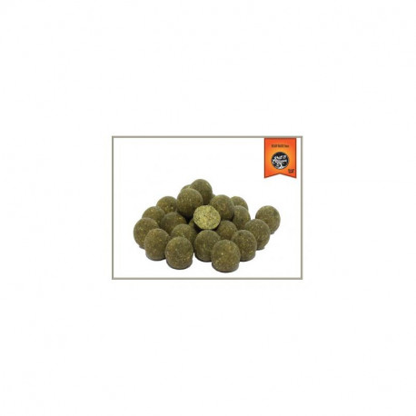 Bouillettes DREAM BAITS Krill & Octopus en 25mm - 3Kg