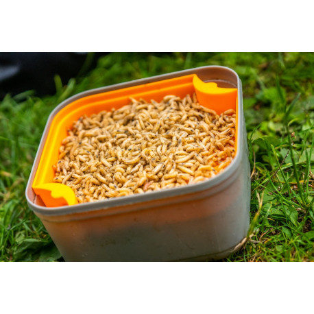 Tamis GURU maggot riddle pour boite 2.2 et 3.3pintes- noir