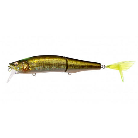 MEGABASS Gorham 147F GG Indicator bass
