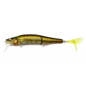 MEGABASS Gorham 147F GG Indicator bass