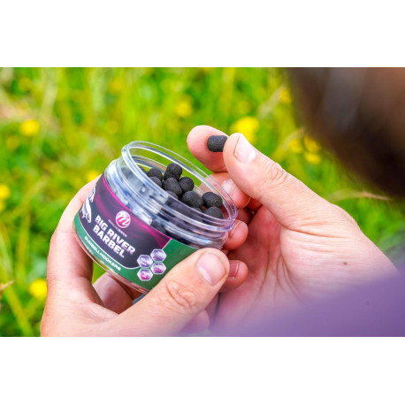 Dumbell wafters MAINLINE Match big river barbel- 10*12mm