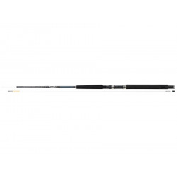 Canne DAIWA exceller trolling 2m70 15-30lbs