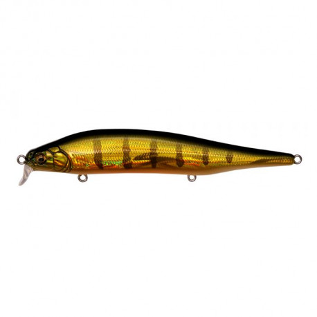 Leurre MEGABASS Ito shiner SSR 11.5cm GG Perch