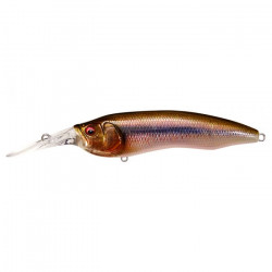 Leurre MEGABASS Live-X model 1 FA Kawamutsu