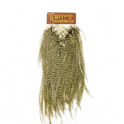 Cou de coq WHITING Coq de Leon Silver Saddle Grizzly Pardo