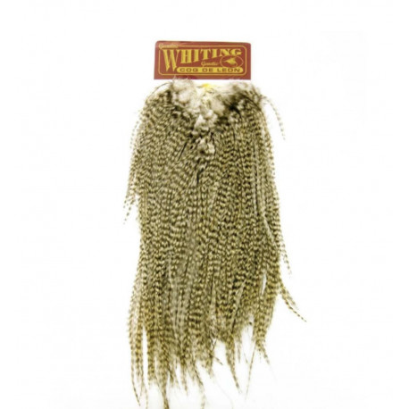 Cou de coq WHITING Coq de Leon Silver Saddle Grizzly Pardo