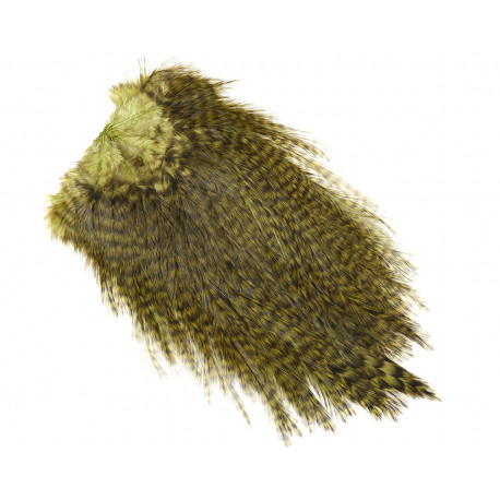 Cou de coq WHITING Coq de Leon Silver Saddle Grizzly dyed Olive
