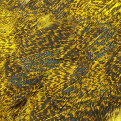 Cou de coq WHITING Coq de Leon Silver Saddle Grizzly dyed Yellow