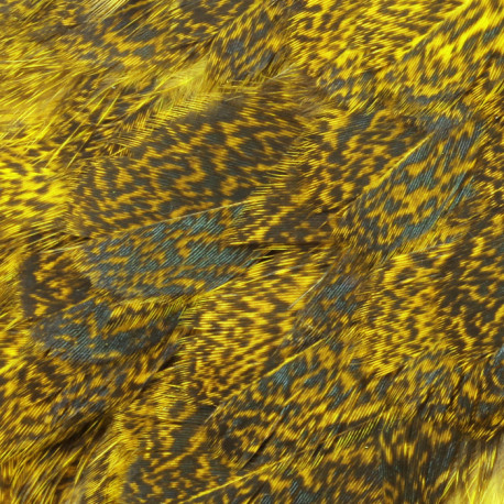 WHITING Coq de Leon Silver Saddle Grizzly dyed Yellow