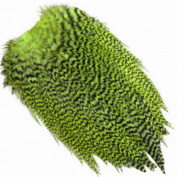 Cou de coq WHITING Coq de Leon Silver Saddle Grizzly dyed Fl Green Chartreuse