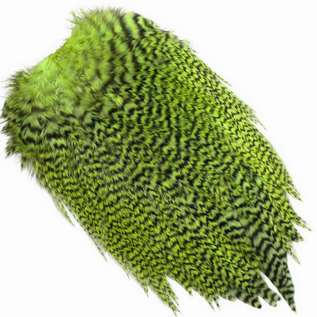WHITING Coq de Leon Silver Saddle Grizzly dyed Fl Green Chartreuse