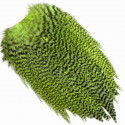 WHITING Coq de Leon Silver Saddle Grizzly dyed Fl Green Chartreuse