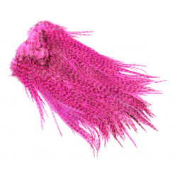 Cou de coq WHITING Coq de Leon Silver Saddle Grizzly dyed Pink