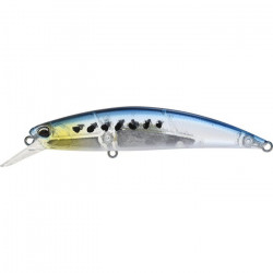 Leurre DUO Spearhead ryuki 8cm CCCZ279