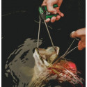 O'Pros Jaw Spreader