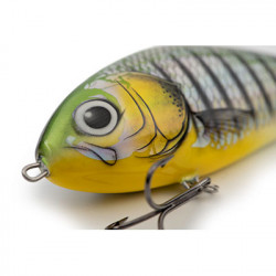 SALMO Fatso 14cm Phantom perch COULANT lure