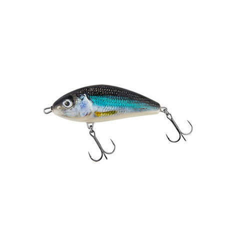 Leurre SALMO Fatso 10cm FLOTTANT HLS
