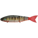 Leurre MADNESS Balam 245 Red Fin Perch