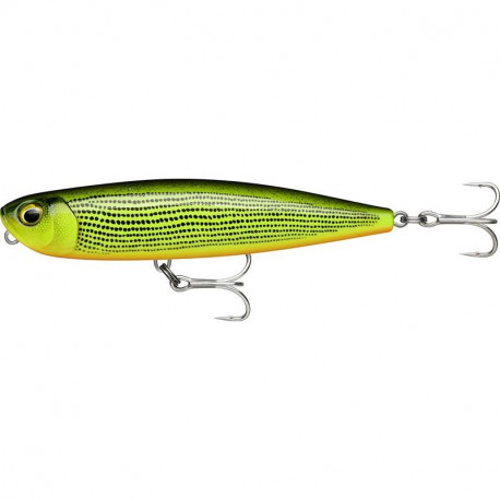 Leurre RAPALA Precision Xtreme pencil EXO 10.7cm GDR
