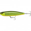 RAPALA Precision Xtreme pencil EXO 10.7cm GDR
