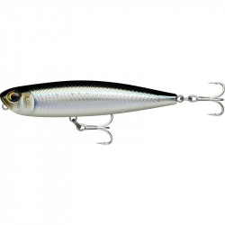 RAPALA Precision Xtreme pencil EXO 10.7cm TRP