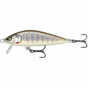 Leurre RAPALA Countdown ELITE 55mm GDBT