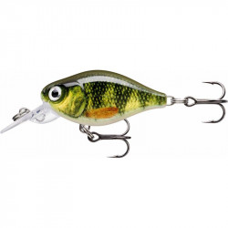 Leurre RAPALA X-Light cranck mid runner 3.5cm PEL