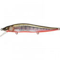 Leurre MEGABASS Vision oneten 11cm Yamame RB