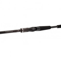 Canne DAIWA Tatula XT BC 1m95 1.8-11gr
