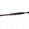 Canne DAIWA Tatula XT BC 1m95 1.8-11gr